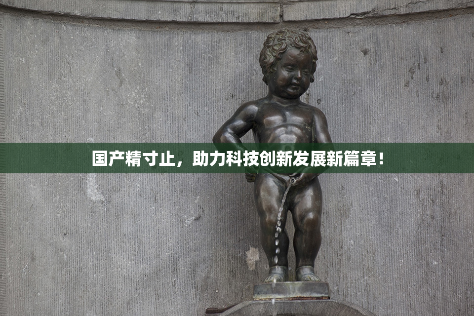 国产精寸止，助力科技创新发展新篇章！