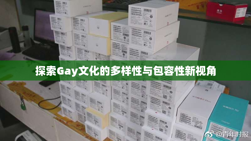 探索Gay文化的多样性与包容性新视角
