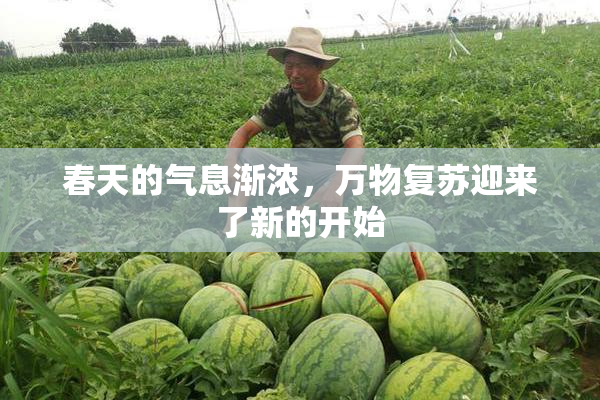 春天的气息渐浓，万物复苏迎来了新的开始