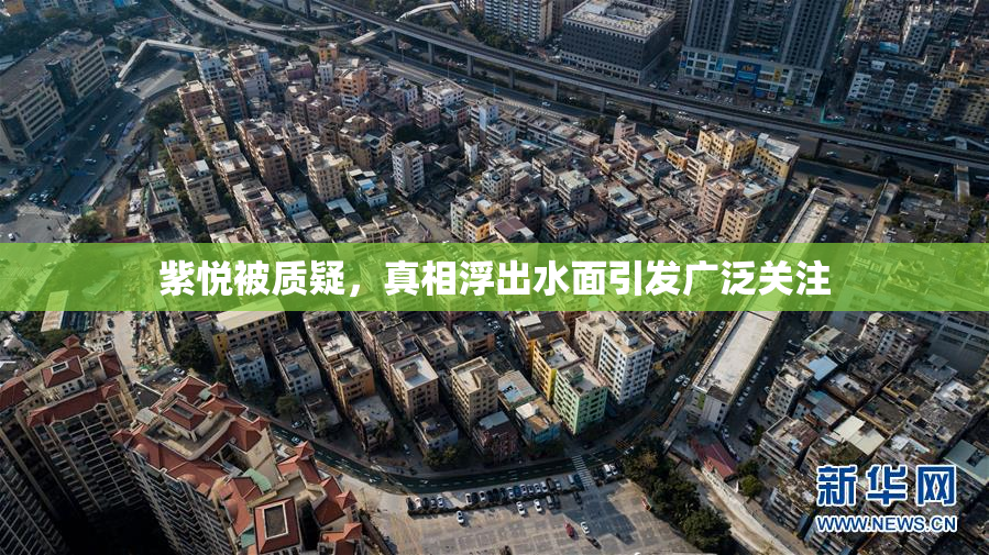 紫悦被质疑，真相浮出水面引发广泛关注