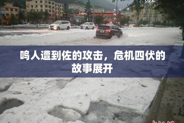 鸣人遭到佐的攻击，危机四伏的故事展开