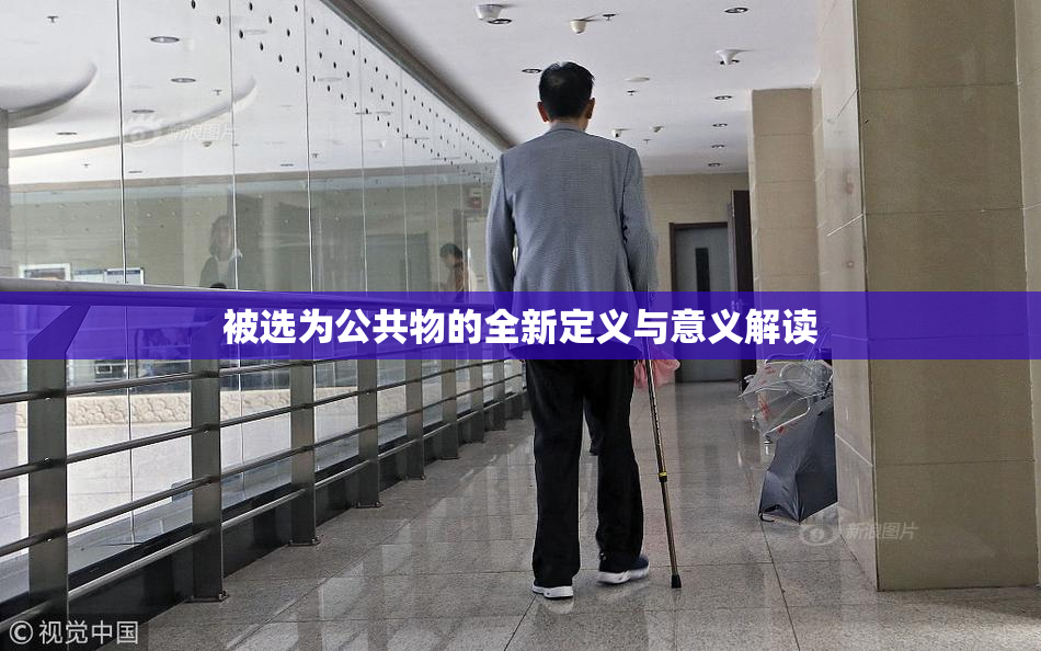 被选为公共物的全新定义与意义解读