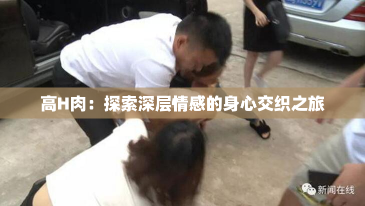 高H肉：探索深层情感的身心交织之旅