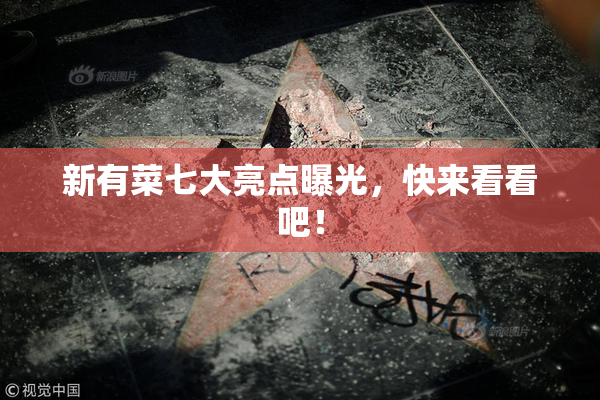 新有菜七大亮点曝光，快来看看吧！