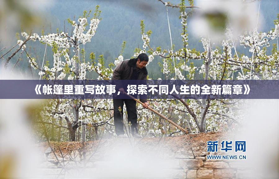 《帐篷里重写故事，探索不同人生的全新篇章》