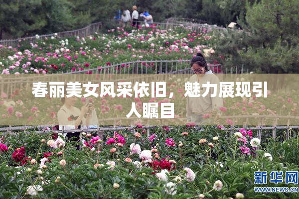 春丽美女风采依旧，魅力展现引人瞩目
