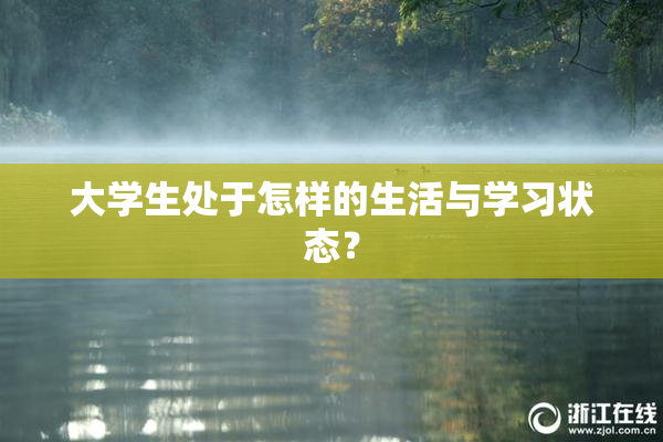 大学生处于怎样的生活与学习状态？