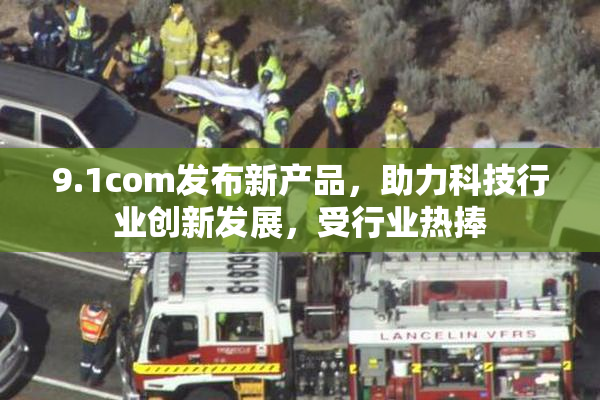 9.1com发布新产品，助力科技行业创新发展，受行业热捧