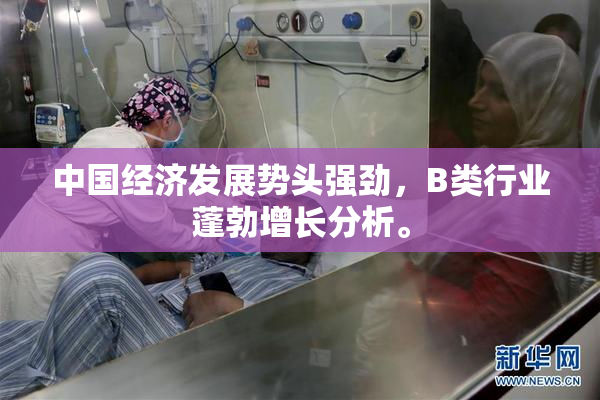 中国经济发展势头强劲，B类行业蓬勃增长分析。