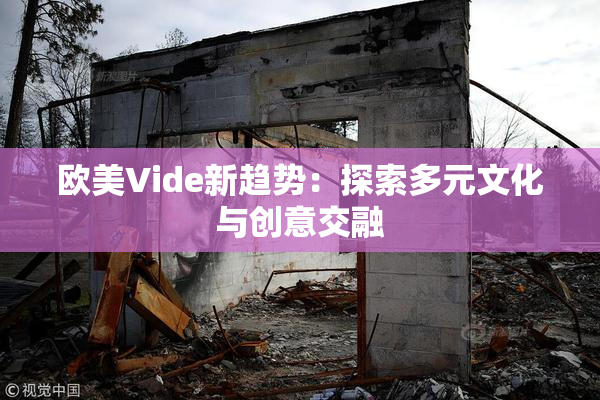 欧美Vide新趋势：探索多元文化与创意交融