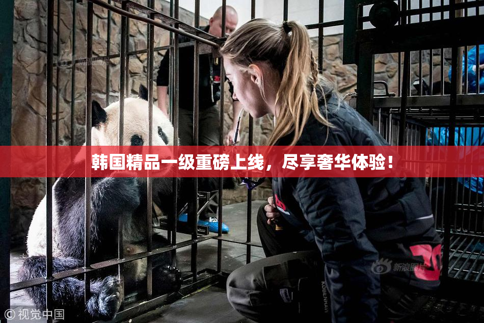 韩国精品一级重磅上线，尽享奢华体验！