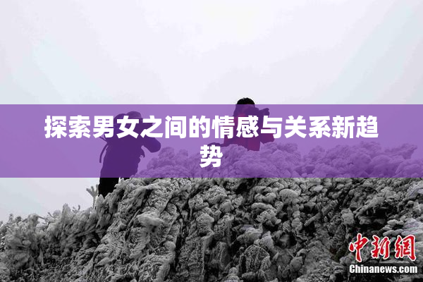 探索男女之间的情感与关系新趋势