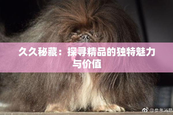 久久秘藏：探寻精品的独特魅力与价值