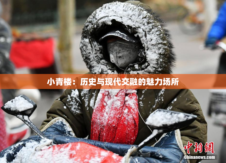 小青楼：历史与现代交融的魅力场所