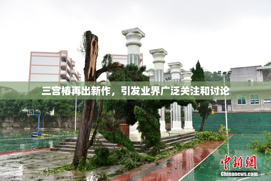 三宫椿再出新作，引发业界广泛关注和讨论