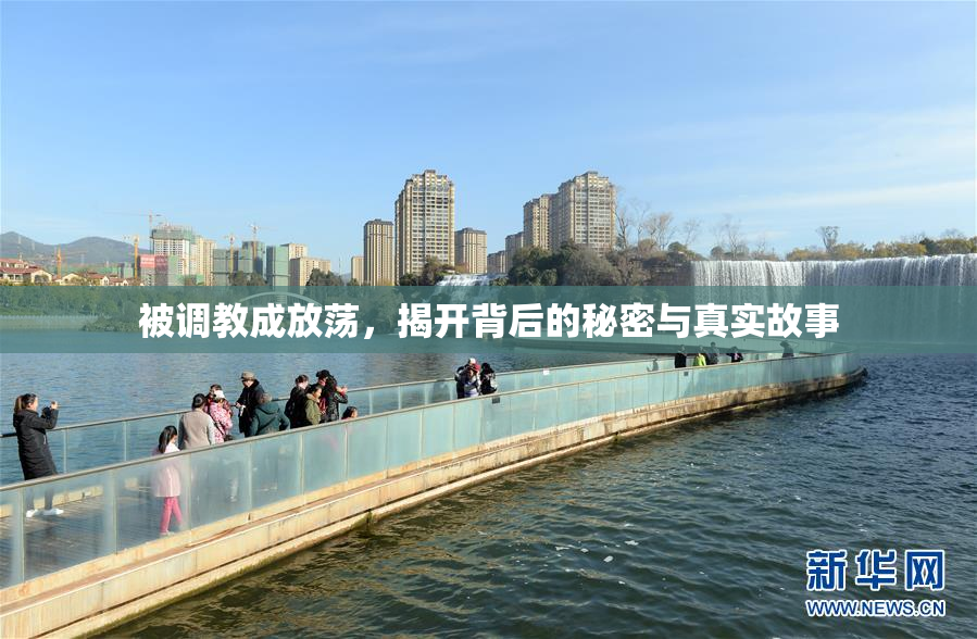 被调教成放荡，揭开背后的秘密与真实故事