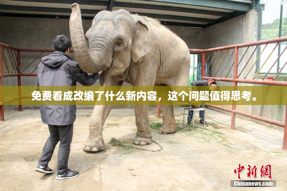 免费看成改编了什么新内容，这个问题值得思考。