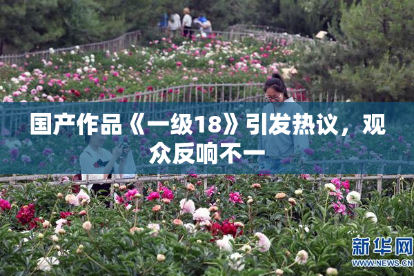 国产作品《一级18》引发热议，观众反响不一