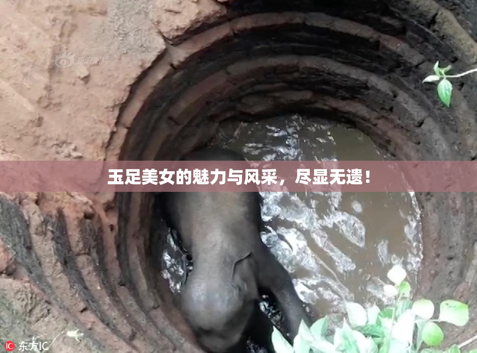 玉足美女的魅力与风采，尽显无遗！