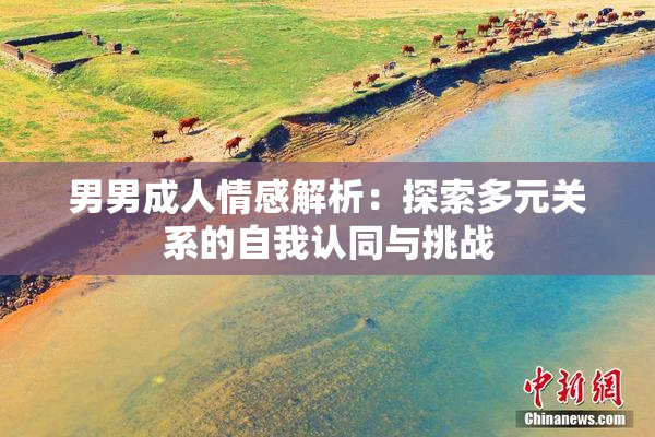 男男成人情感解析：探索多元关系的自我认同与挑战