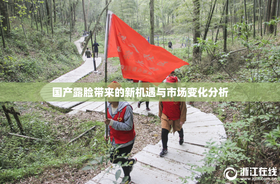 国产露脸带来的新机遇与市场变化分析