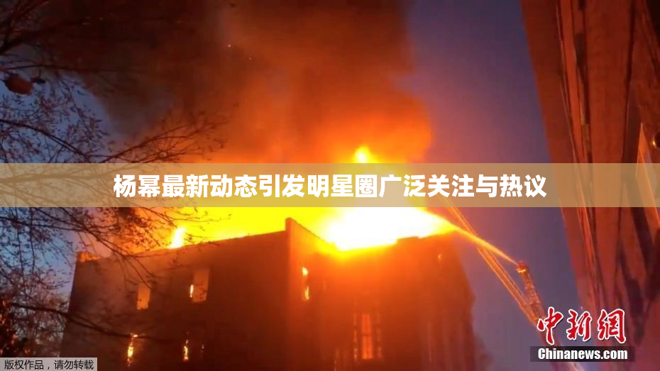 杨幂最新动态引发明星圈广泛关注与热议