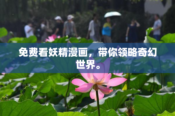 免费看妖精漫画，带你领略奇幻世界。