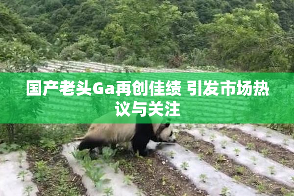 国产老头Ga再创佳绩 引发市场热议与关注