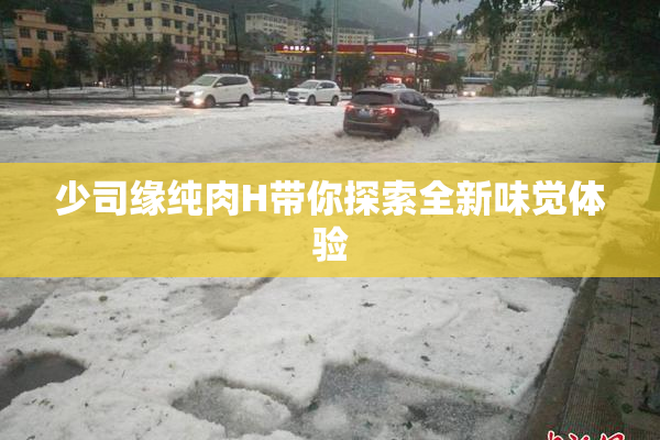 少司缘纯肉H带你探索全新味觉体验