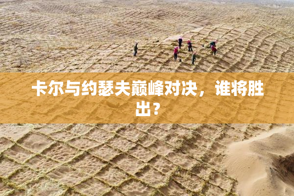 卡尔与约瑟夫巅峰对决，谁将胜出？