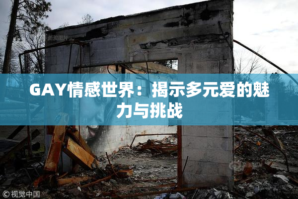 GAY情感世界：揭示多元爱的魅力与挑战