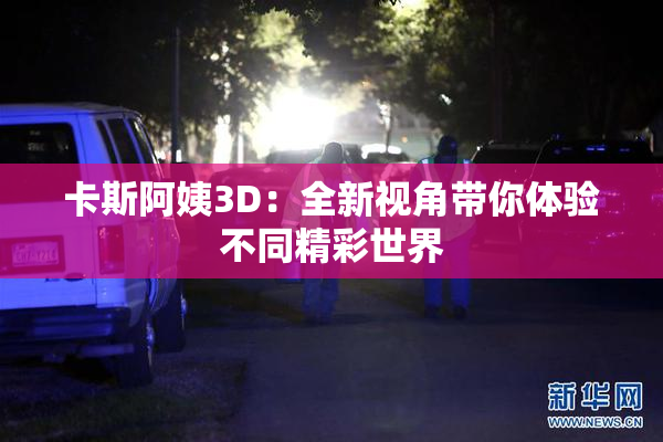 卡斯阿姨3D：全新视角带你体验不同精彩世界