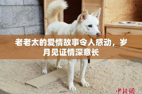 老老太的爱情故事令人感动，岁月见证情深意长