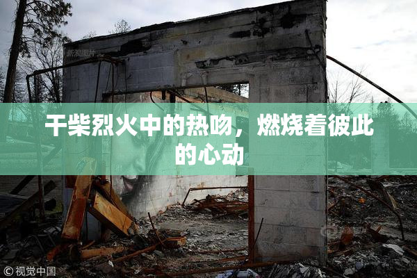 干柴烈火中的热吻，燃烧着彼此的心动