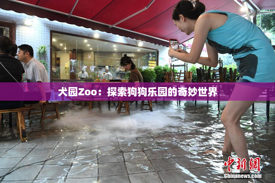 犬园Zoo：探索狗狗乐园的奇妙世界