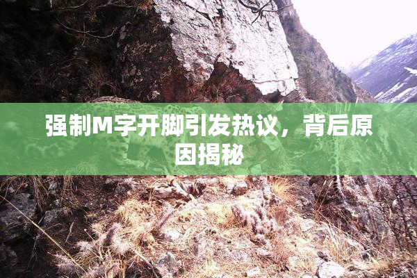 强制M字开脚引发热议，背后原因揭秘