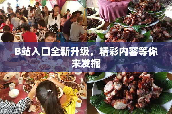 B站入口全新升级，精彩内容等你来发掘