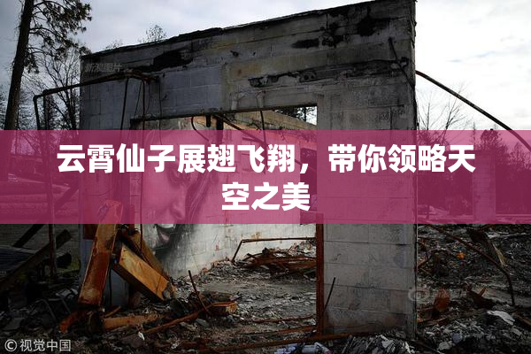 云霄仙子展翅飞翔，带你领略天空之美
