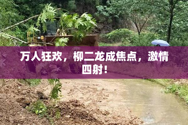 万人狂欢，柳二龙成焦点，激情四射！