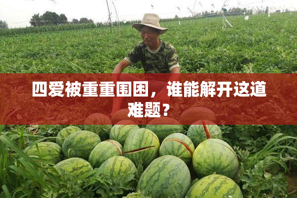 四爱被重重围困，谁能解开这道难题？