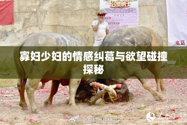寡妇少妇的情感纠葛与欲望碰撞探秘