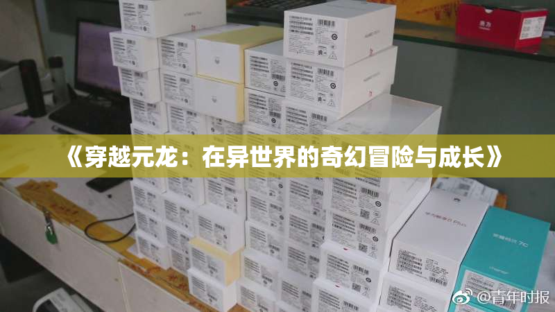 《穿越元龙：在异世界的奇幻冒险与成长》