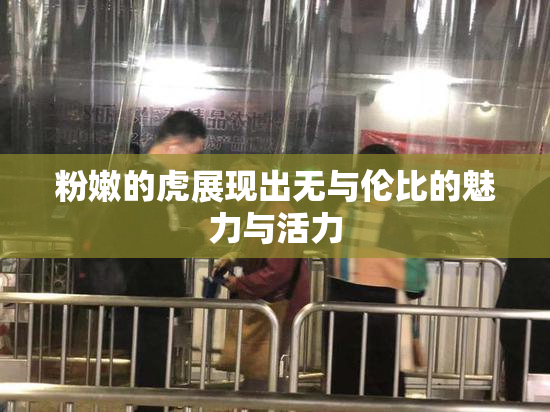 粉嫩的虎展现出无与伦比的魅力与活力