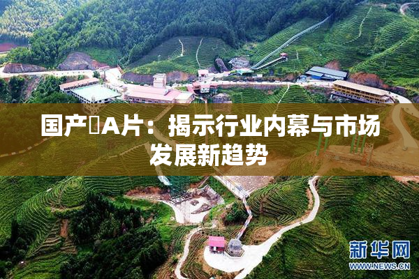 国产婬A片：揭示行业内幕与市场发展新趋势