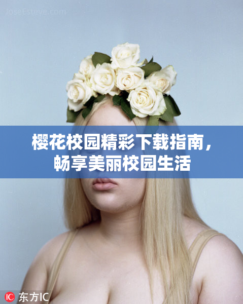 樱花校园精彩下载指南，畅享美丽校园生活