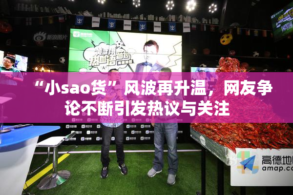 “小sao货”风波再升温，网友争论不断引发热议与关注
