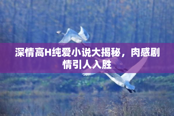 深情高H纯爱小说大揭秘，肉感剧情引人入胜
