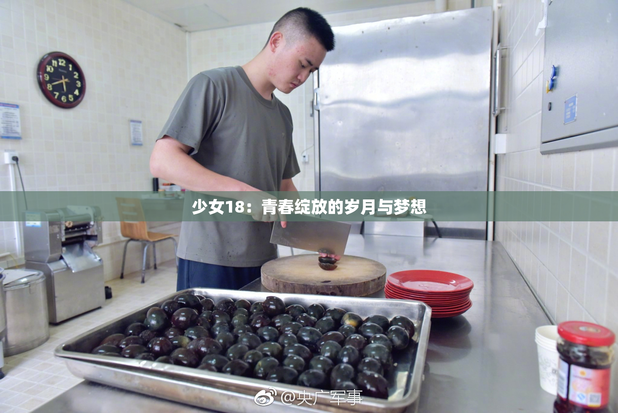 少女18：青春绽放的岁月与梦想