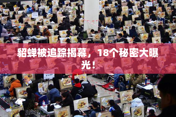 貂蝉被追踪揭幕，18个秘密大曝光！
