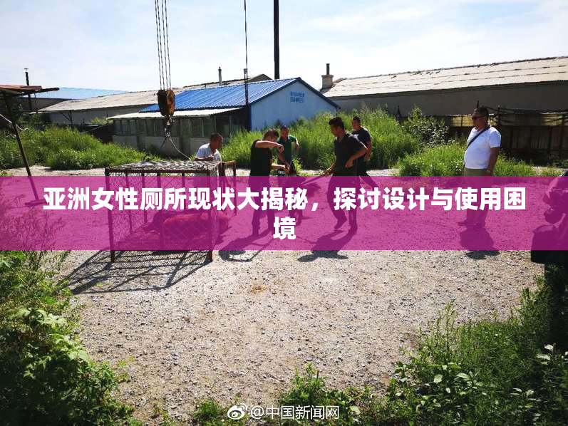 亚洲女性厕所现状大揭秘，探讨设计与使用困境